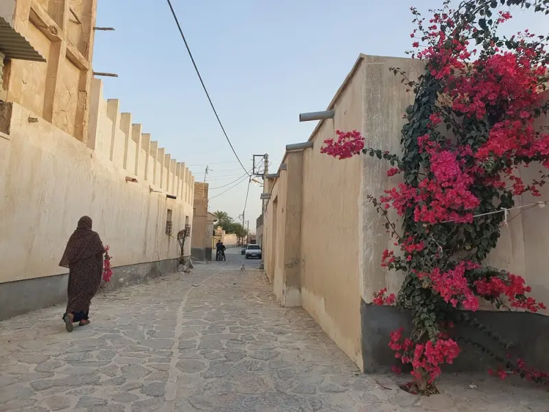 بندر کنگ - تصویر 1