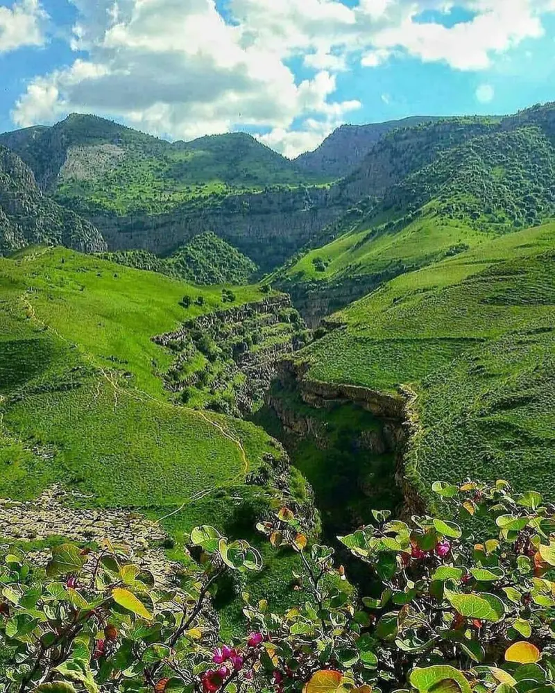 دره چریک - تصویر 4