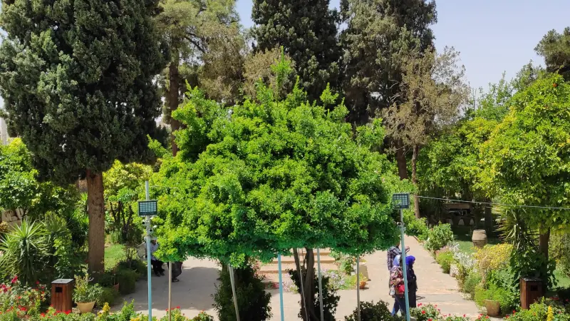 باغ موزه هفت تنان - تصویر 4