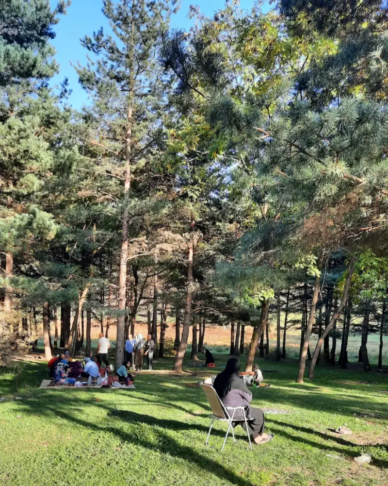بوستان جنگلی صیقل محله - تصویر 3