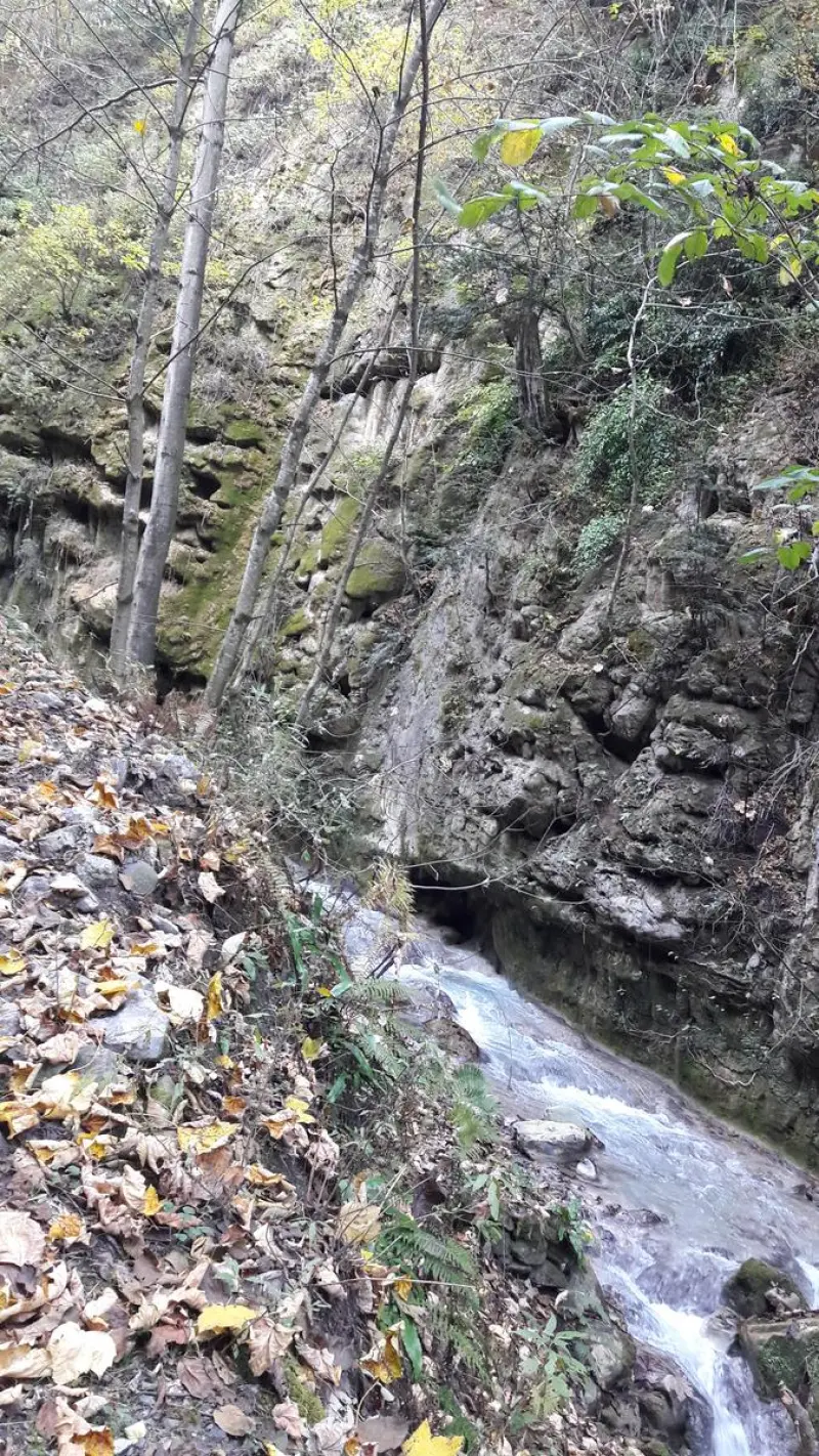 روستای برار - تصویر 3