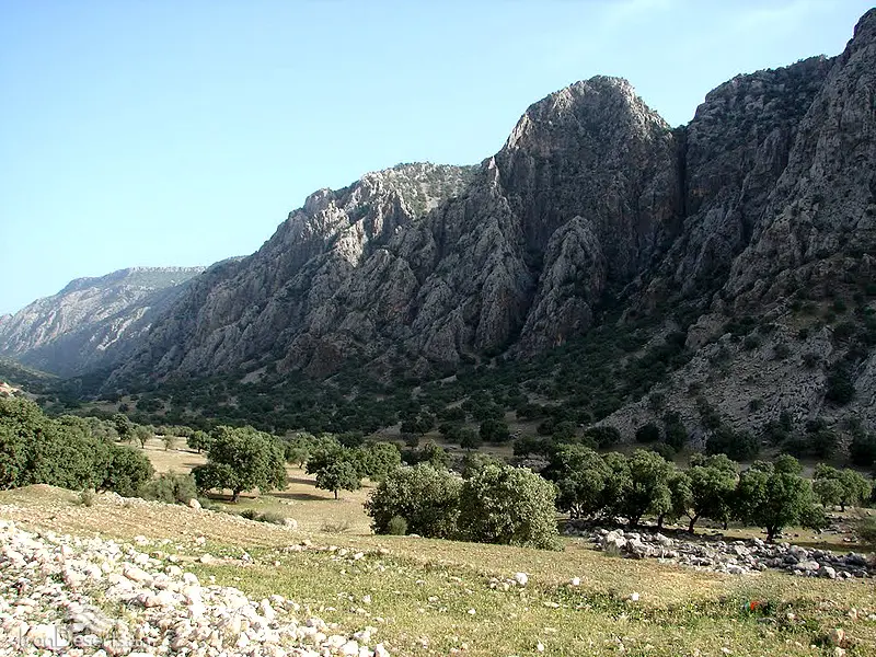 تنگ بوان - تصویر 6