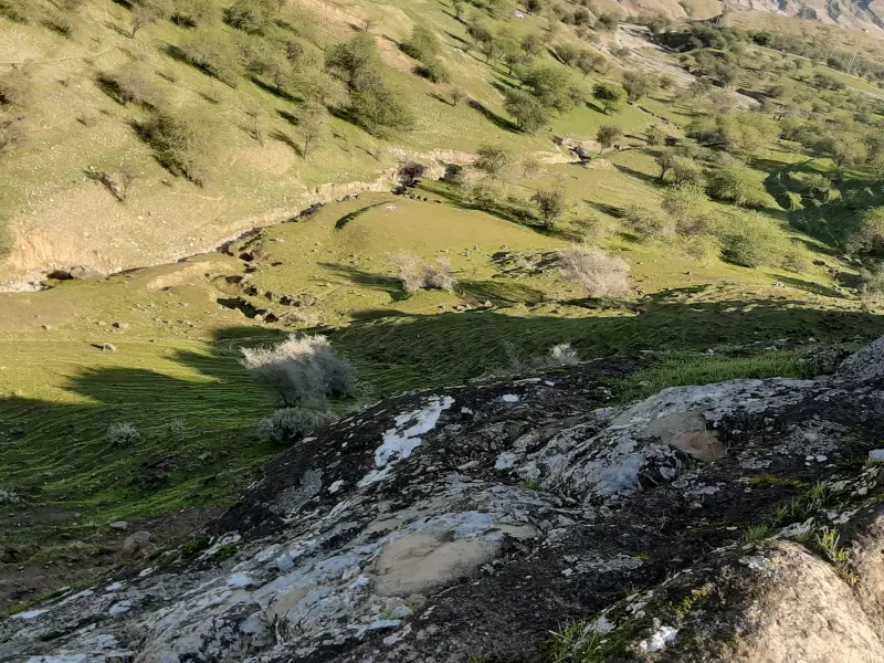 منطقه حفاظت شده چهل پا - تصویر 2