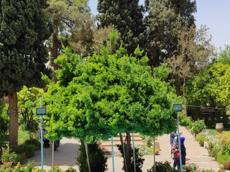 باغ موزه هفت تنان - تصویر 4