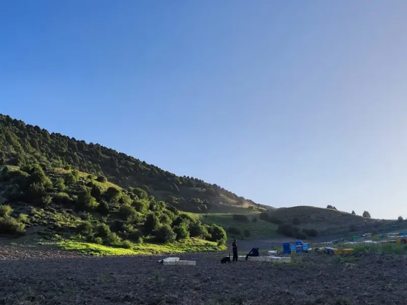 پارک ملی سالوک - تصویر 5