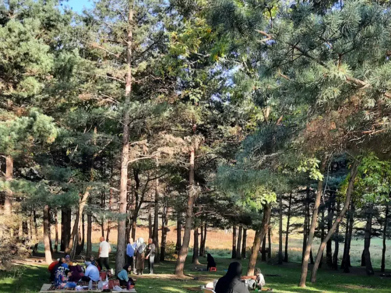 بوستان جنگلی صیقل محله - تصویر 3