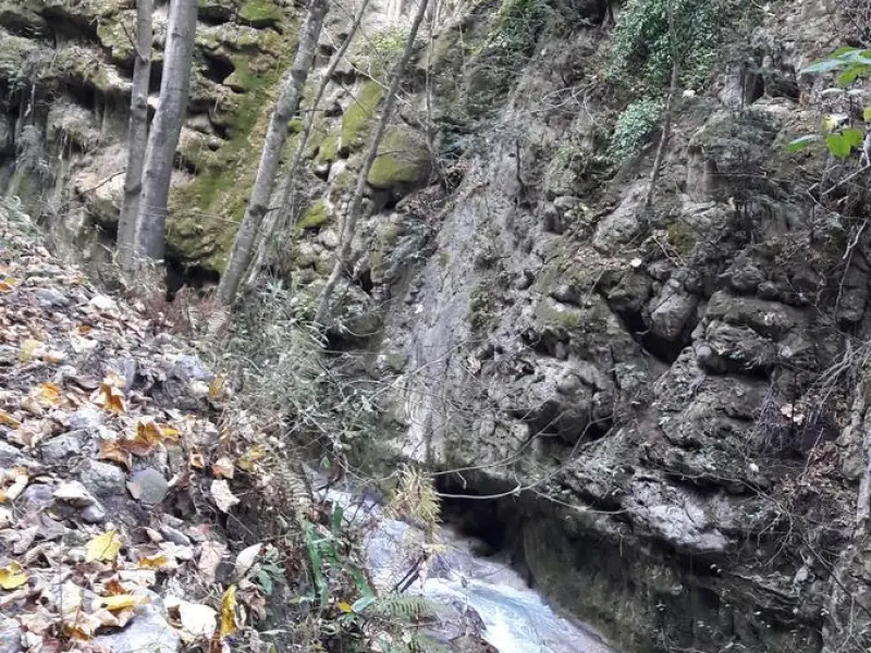 روستای برار - تصویر 3