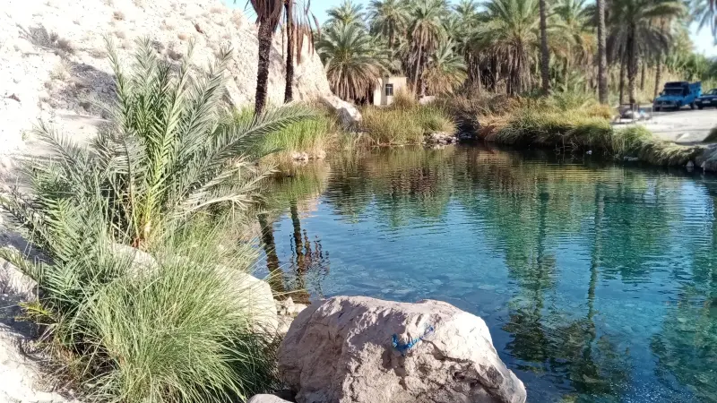 چشمه سبز پوشان - تصویر 4
