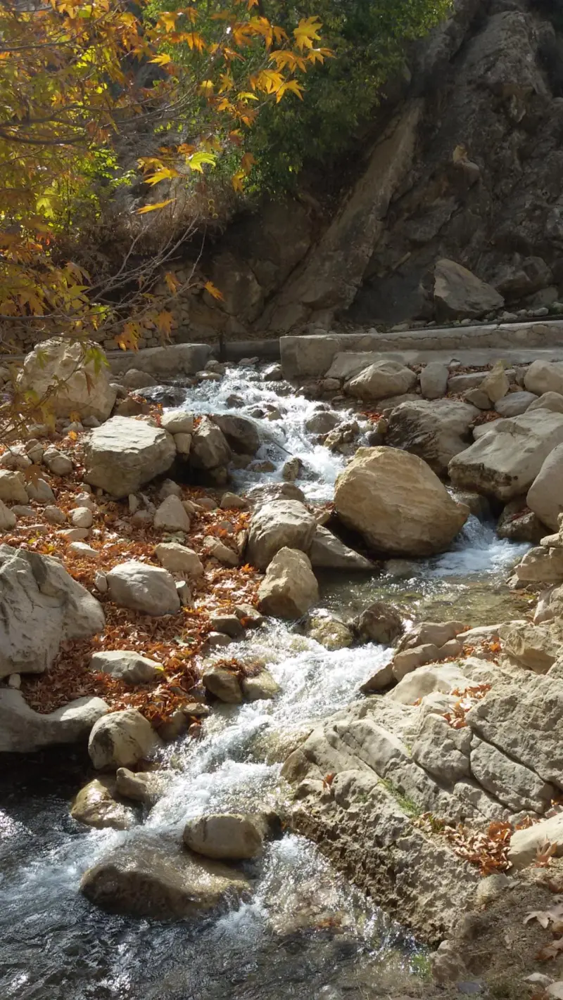 تنگ خانی - تصویر 11