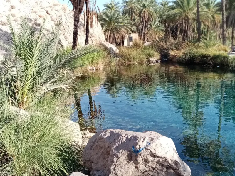 چشمه سبز پوشان - تصویر 4