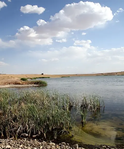 تالاب شیرین سو، همدان