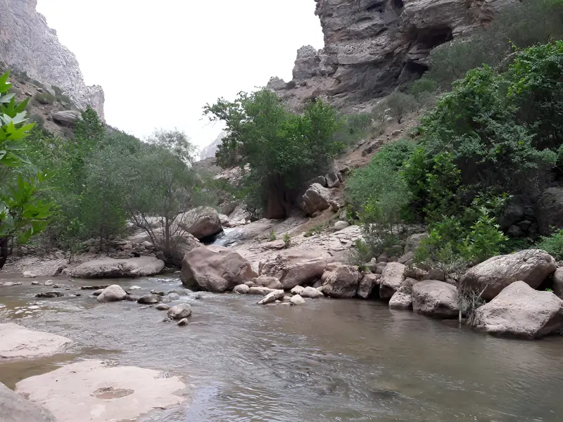 چشمه ناز ونک - تصویر 2
