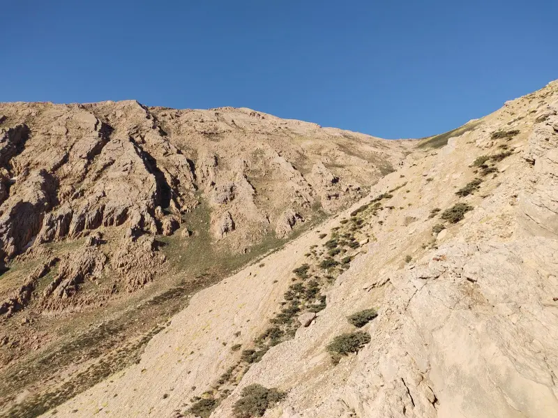 کوه میلی - تصویر 3