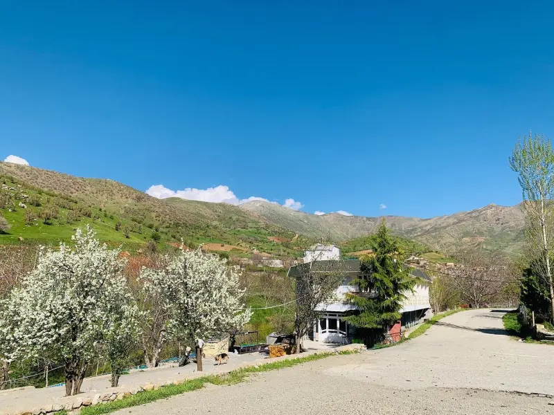 روستای نجنه‌علیا