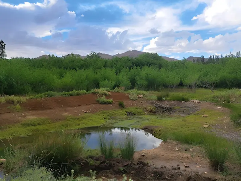 روستای کرخنگان - تصویر 1
