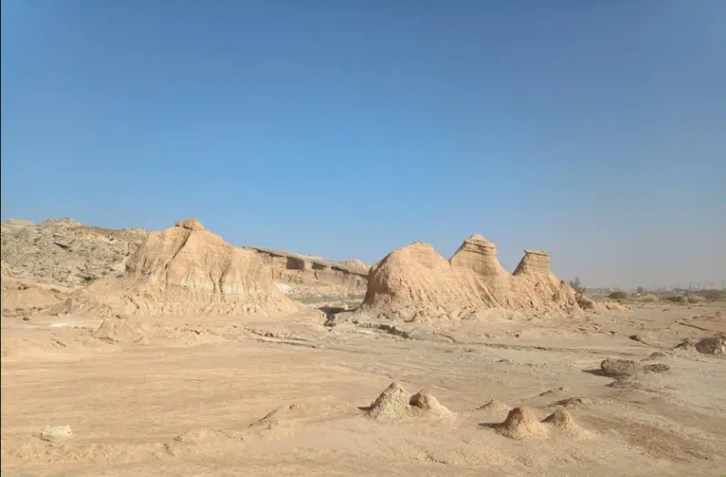 کلوت پودل - تصویر 1