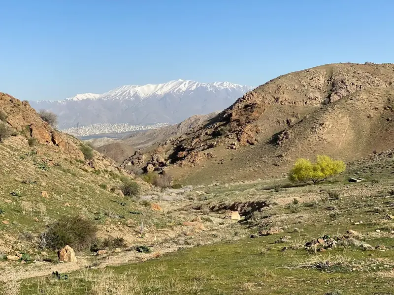 پارک ملی سرخه‌حصار - تصویر 10