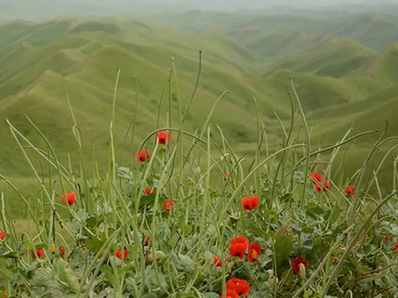 روستای گچی سو بالا - تصویر 1