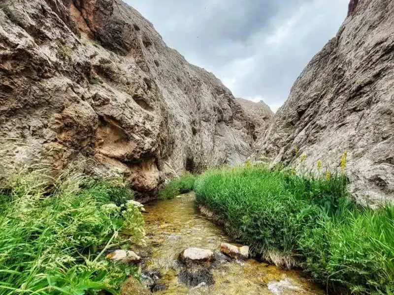 تنگه میشینه مرگ