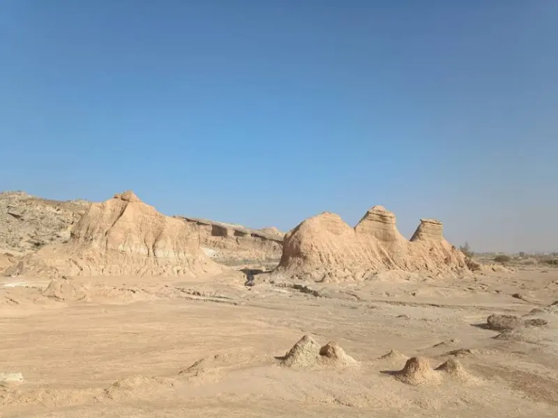 کلوت پودل - تصویر 1