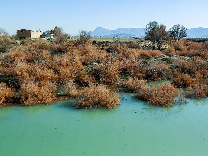 دریاچه بختگان - تصویر 4