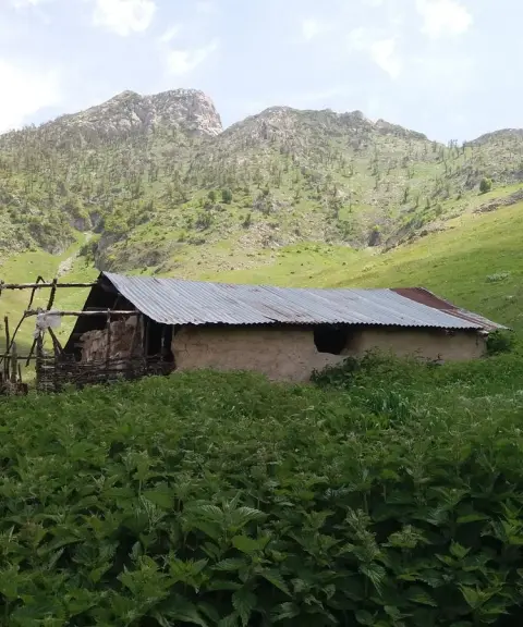 روستای عالی کلا، مازندران