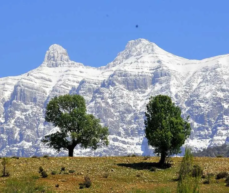 رشته‌کوه دنا - تصویر 7