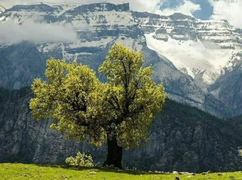 کبیرکوه - تصویر 1