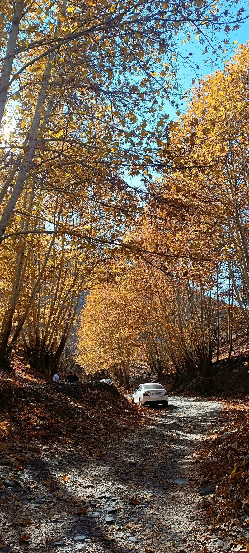 دره خوشرود - تصویر 9