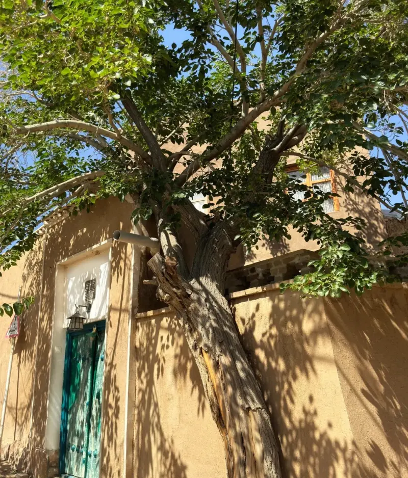 روستای ایراج - تصویر 5