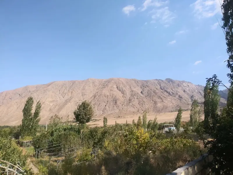 دهبکری - تصویر 1