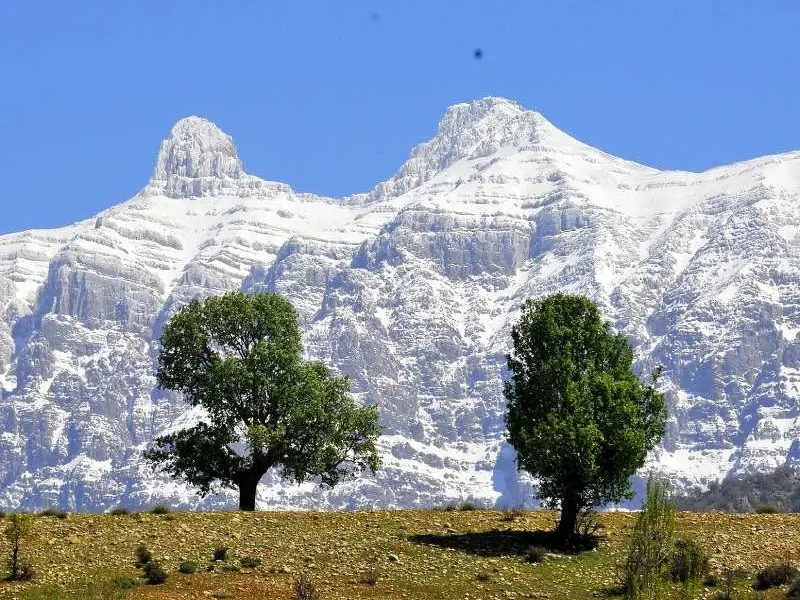 رشته‌کوه دنا - تصویر 7