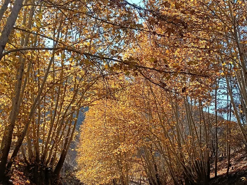 دره خوشرود - تصویر 9