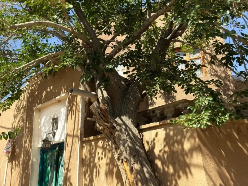 روستای ایراج - تصویر 5
