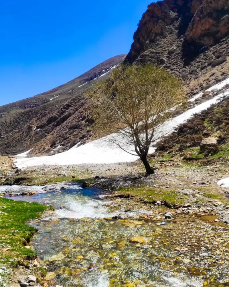دره انبی - تصویر 4