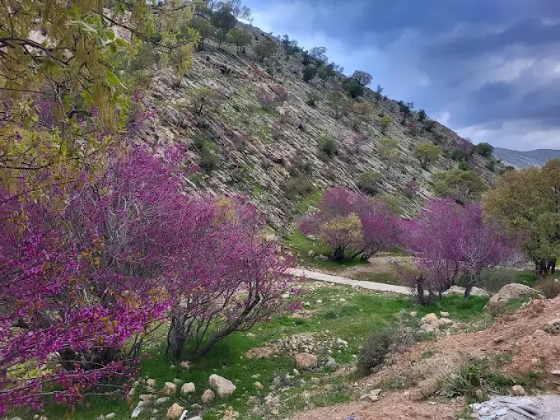 تنگه ارغوان - تصویر 4