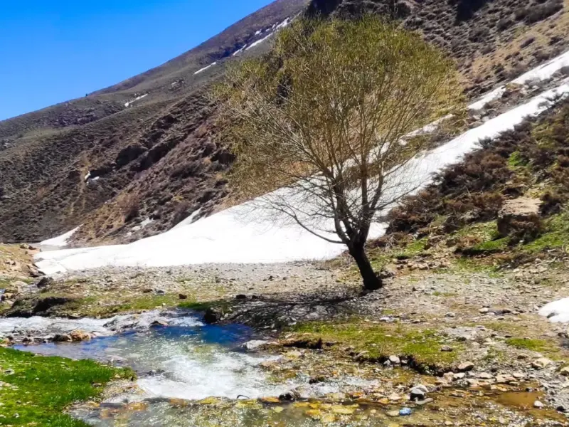 دره انبی - تصویر 4