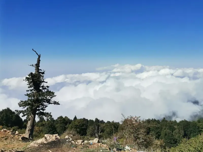 روستا درازنو - تصویر 12