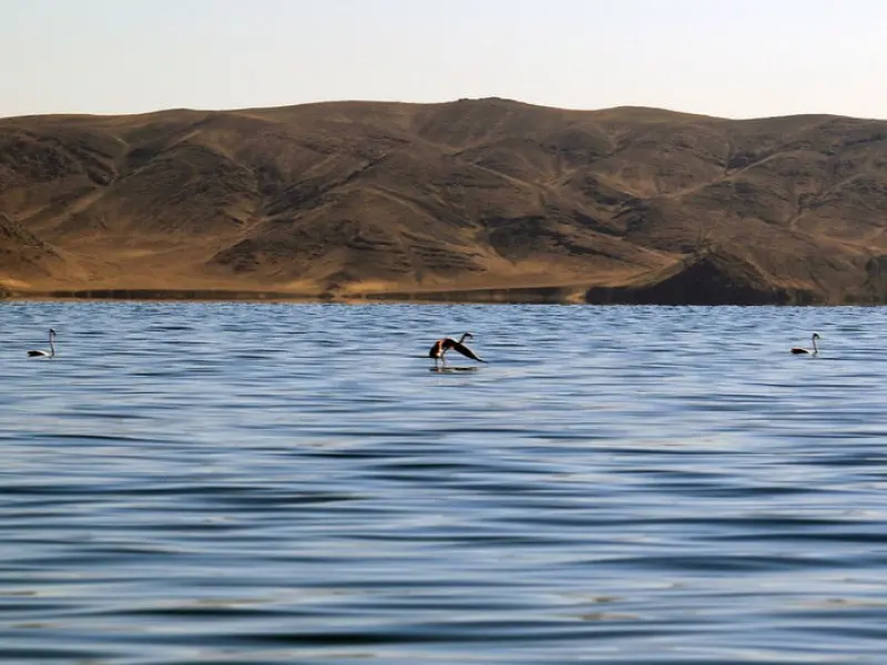 جزیره آرزو
