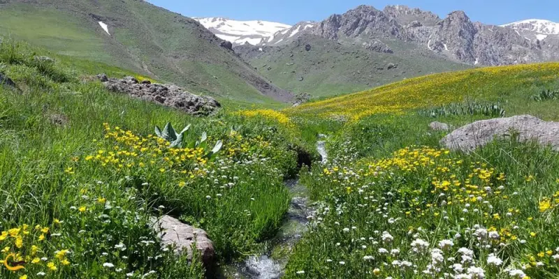 دشت نمارستاق - تصویر 4