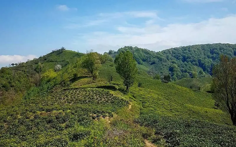 روستای شیخانبر - تصویر 2