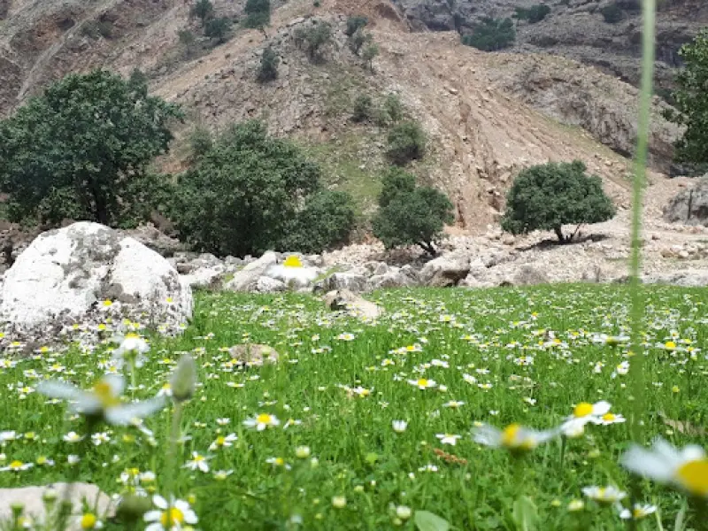 آبشار شیمبار - تصویر 4