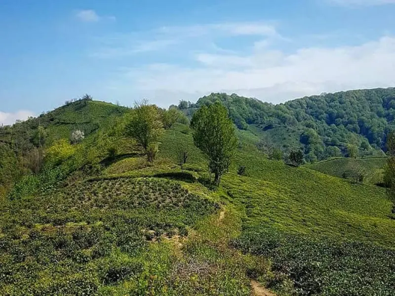 روستای شیخانبر - تصویر 2