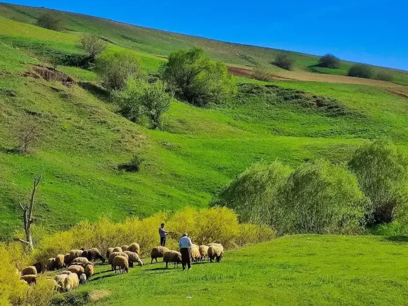 دهستان ترگور - تصویر 2