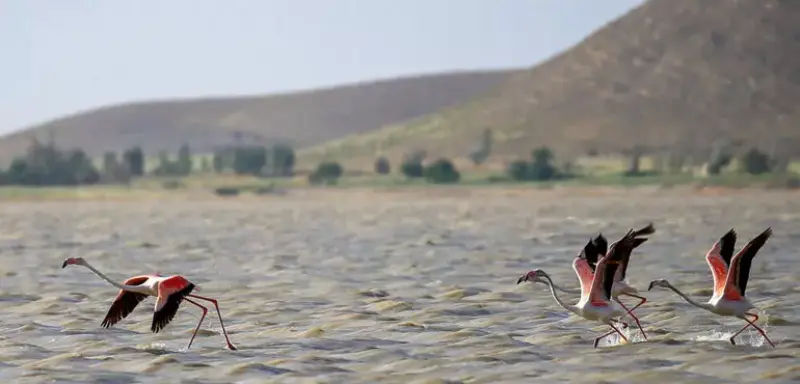 تالاب آق گل - تصویر 3