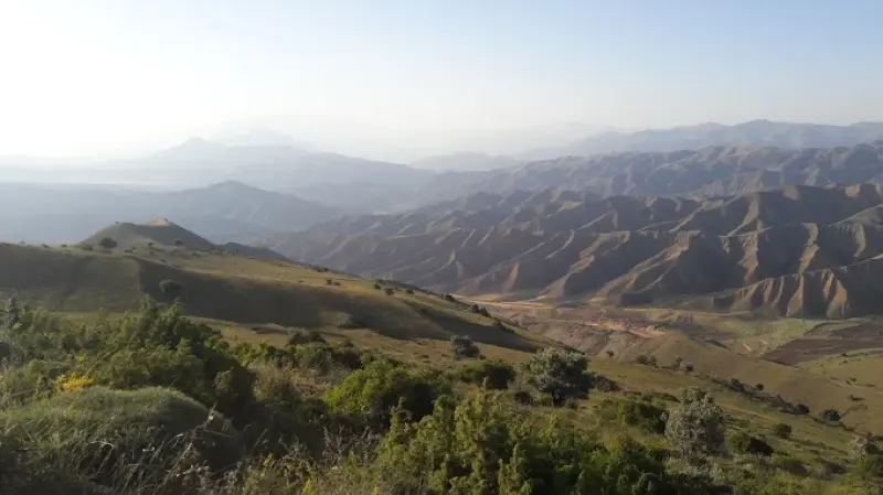پناهگاه حیات‌‍وحش کیامکی - تصویر 5
