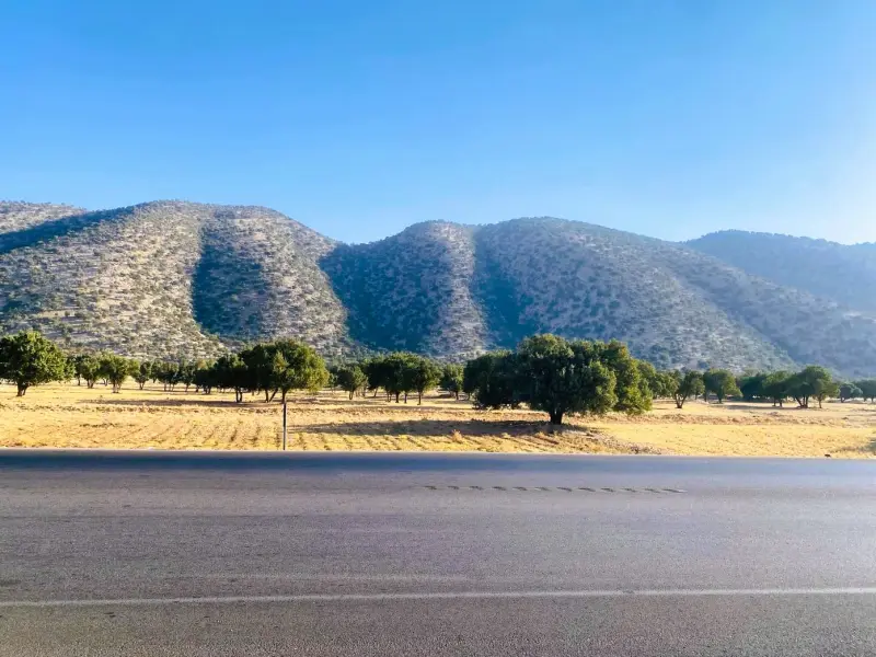 جنگل‌های بلوط استان فارس - تصویر 1