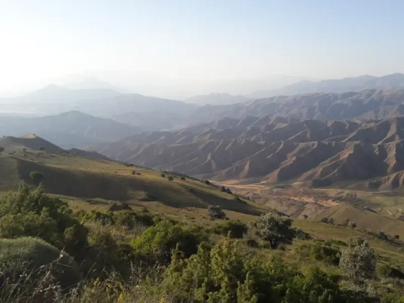 پناهگاه حیات‌‍وحش کیامکی - تصویر 5