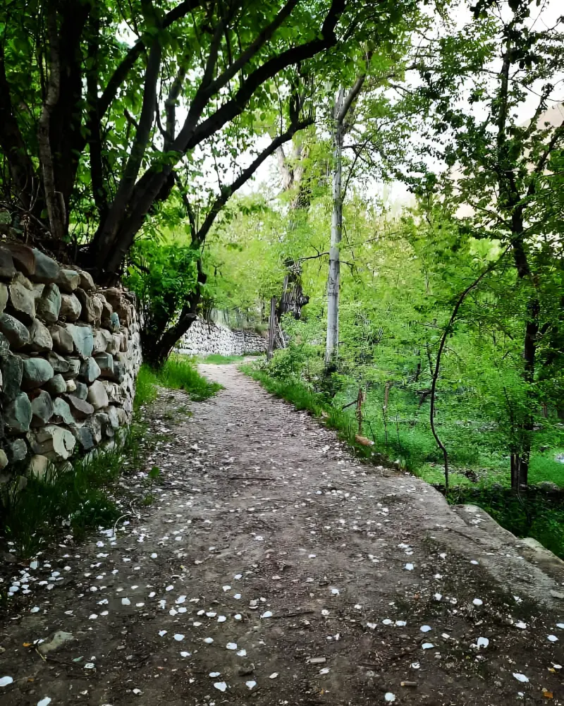 روستای سینک - تصویر 4