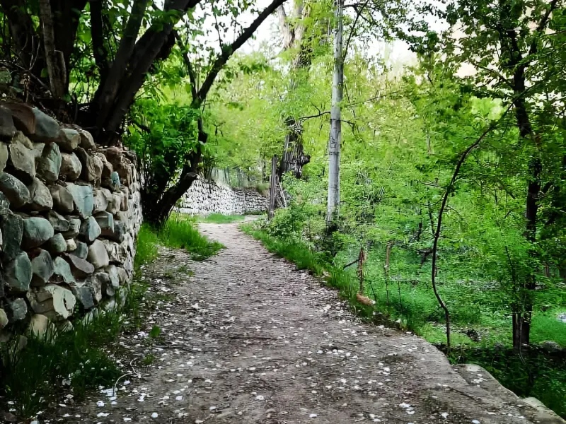 روستای سینک - تصویر 4